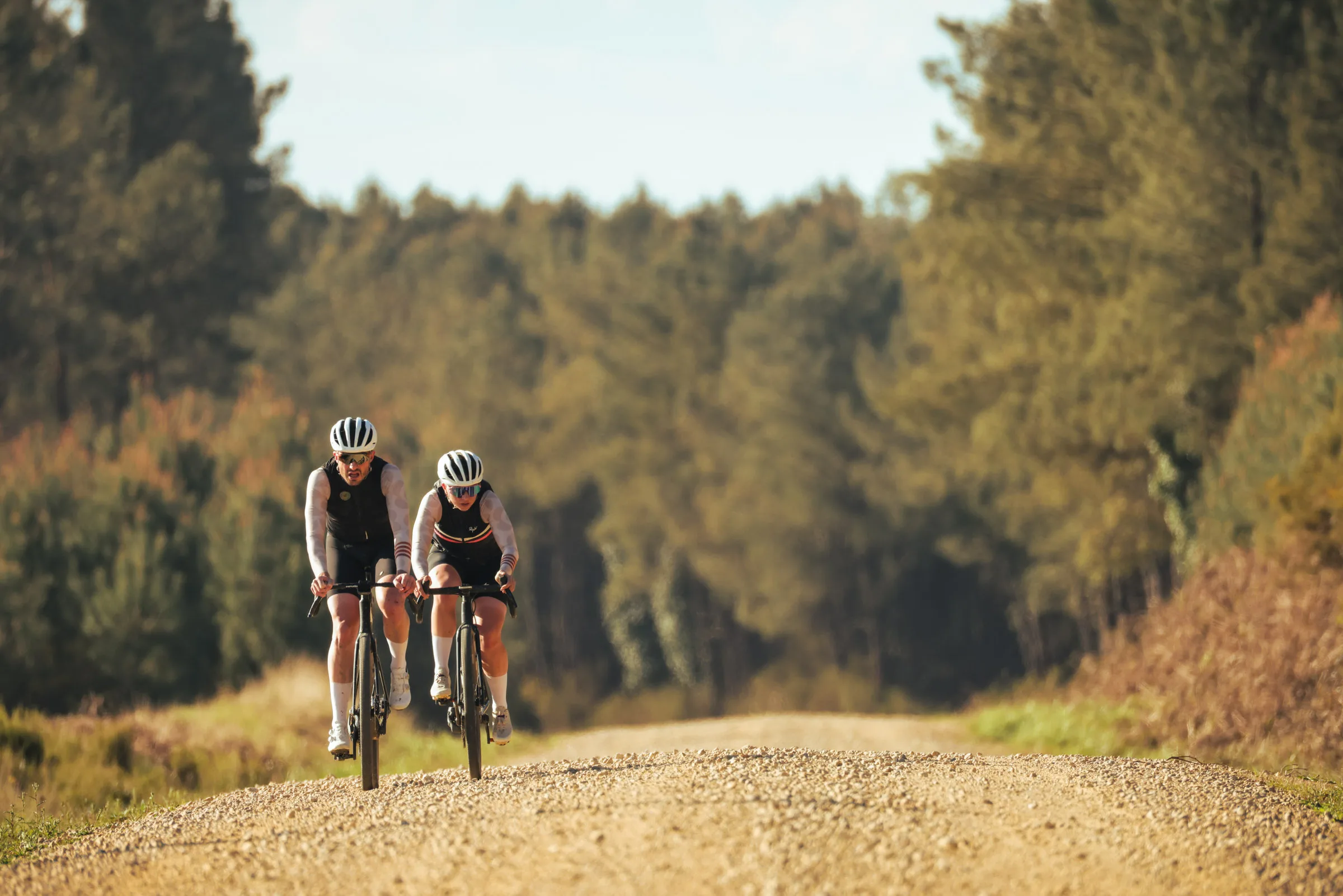 Deux riders sur une piste de sable clair entre les pins